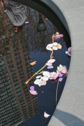 088 Battery Park.jpg