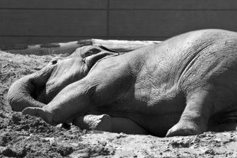 ZOO-27.jpg