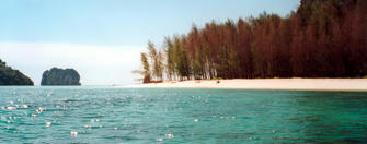 005-Thailand.jpg