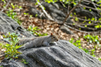 031-New York City.jpg