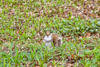 032-New York City.jpg