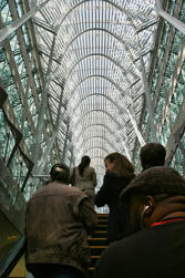 196 Toronto.jpg