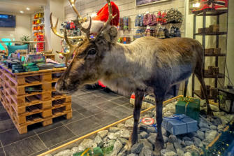 021-Norway.jpg