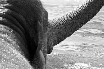 ZOO-25.jpg