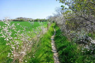029-Stevns Klint.jpg