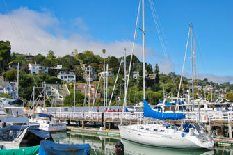 272 San Francisco.jpg